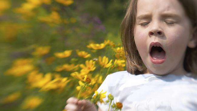 The automated pollen counter will help many people manage their hay fever.