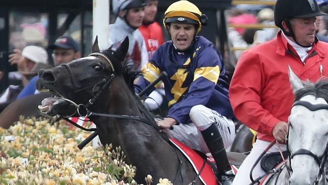 Araldo, ridden by Dwayne Dunn, gets tangled in the fence after being spooked by a flag after running the 2014 Cup. The horse was later put down.