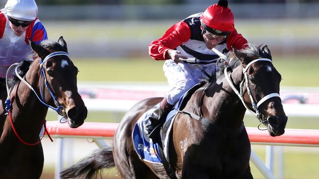 Trainer Chris Waller says Sebring Sally (right) being ridden by Damien Oliver here at Ballarat, is “thriving’’ ahead of the Queensland Oaks.