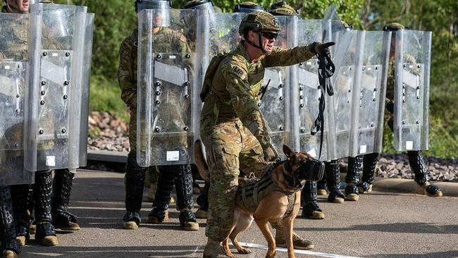 Australian Army soldier PTE Alex Penfold from 1st Military Police Battalion and his Military Police Dog Azura work with soldiers from the 3rd Battalion, Royal Australian Regiment during a Population Protection and Control Course at Lavarack Barracks in Townsville. Picture: CPL Daniel Sallai