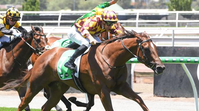 Xarpo ridden by Liam Riordan wins the TAB We're On at Flemington Racecourse on January 01, 2025 in Flemington, Australia. (Photo by Brett Holburt/Racing Photos via Getty Images)