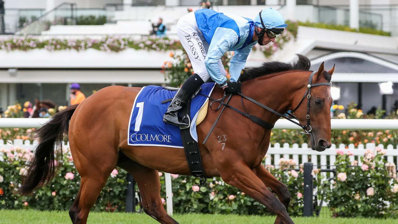 Coolmore Stud Stakes