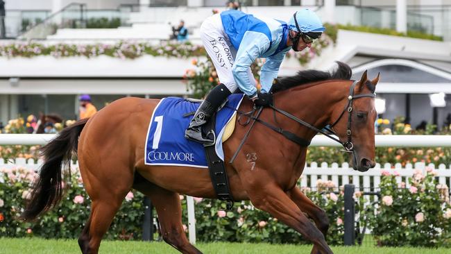 Farnan failed to fire in the Coolmore Stud Stakes. Picture: Getty Images