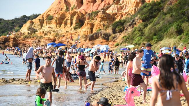 People cooling down at Half Moon Bay beach in Black Rock. Picture: Josie Hayden