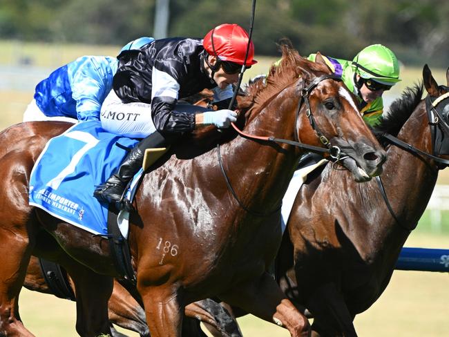 MELBOURNE, AUSTRALIA - JANUARY 25: Jamie Mott riding Royal Insignia defeats Tropicus and Band of Brothers in Race 9, the Tile Importer Manfred Stakes during Melbourne Racing at Sandown Racecourse on January 25, 2025 in Melbourne, Australia. (Photo by Vince Caligiuri/Getty Images)