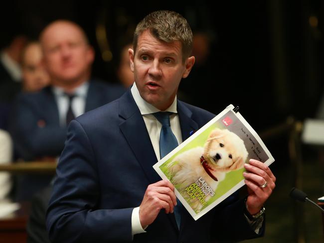 Baird holds photo of puppy as he answers questions from the opposition on greyhound industry.