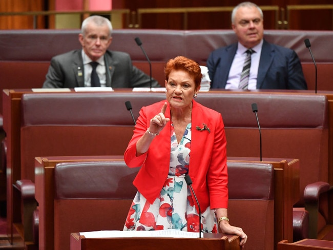 Senator Pauline Hanson says she feels ‘left out’ of the Welcome to Country.