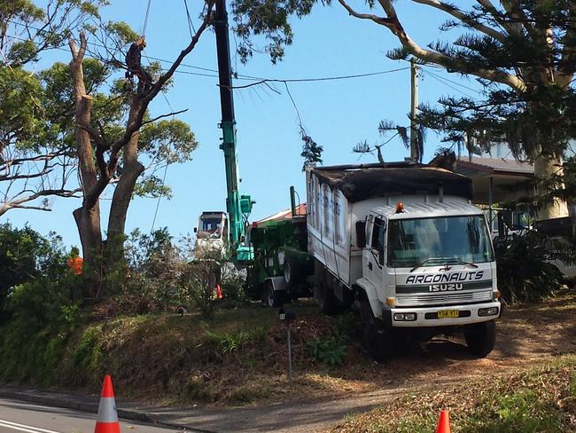 Tree-removal work was continuing close to 5pm on Scenic Highway today.