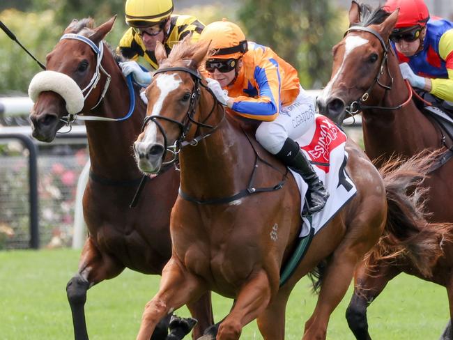 Sans Doute ridden by Celine Gaudray wins the Resimax Group Plate  at Flemington Racecourse on March 02, 2024 in Flemington, Australia. (Photo by George Sal/Racing Photos via Getty Images)