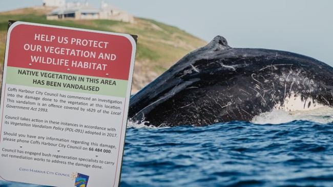 The sign has got some Woolgoolga locals off side but Council says there is evidence of deliberate vegetation vandalism and a Vegetation Management Plan initiated with contractors New Earth Regeneration.