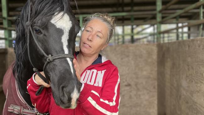 Tanya Hosking with one of her horses at the Castle Hill Showground. Picture: Odessa Blain.