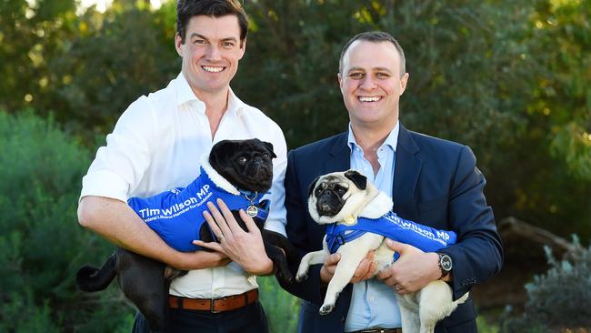 Goldstein MP Tim Wilson with his partner Ryan Bolger. Picture: Josie Hayden