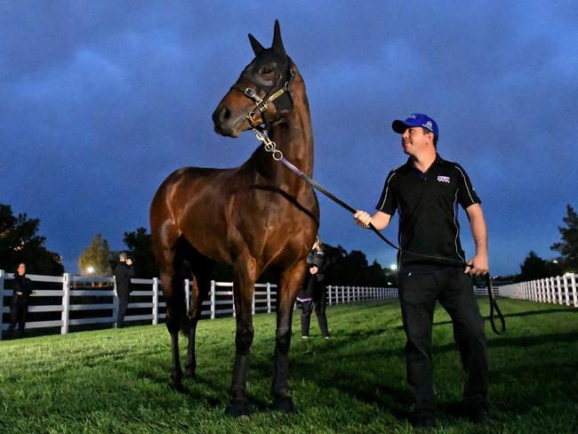 Chris Waller has likened Winx to AFL club Richmond, who shook off the underdog tag to win this year’s premiership. Picture: AAP