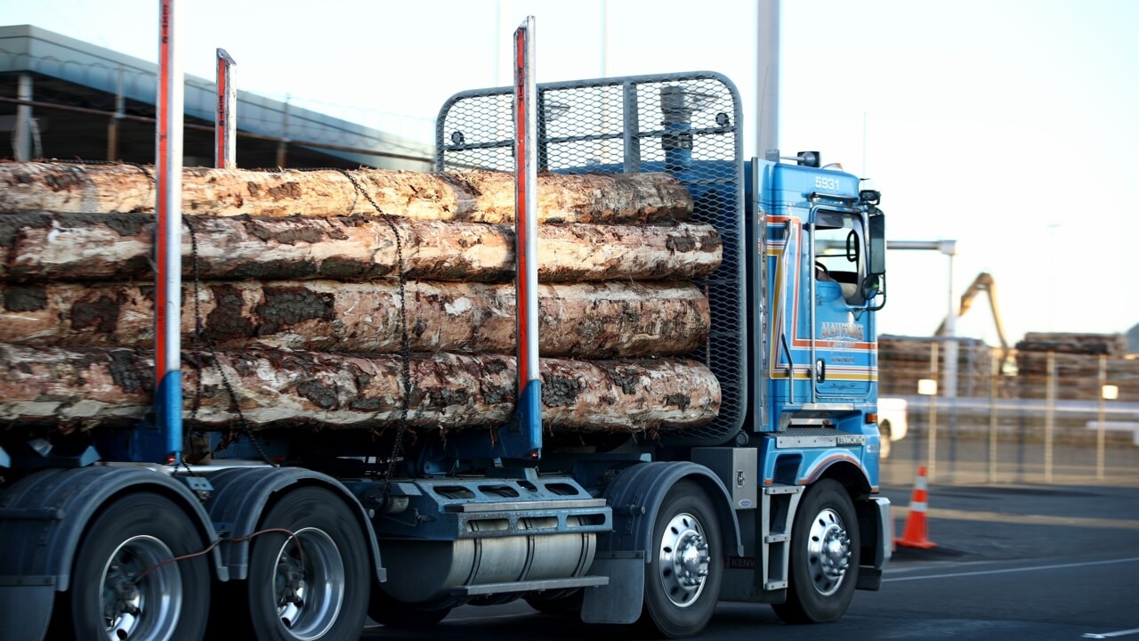 Timber the latest target caught up in Australia-China trade tensions