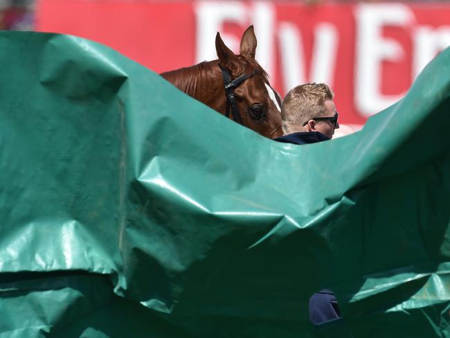 There are reports Red Cadeaux is in a serious condition.