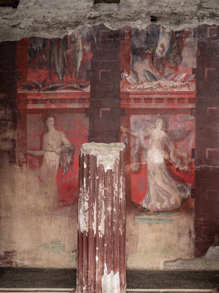 Archaeologists say the freshly excavated house, dubbed Thiasus after the Bacchanalian procession, had been painted some 40 years before the eruption.