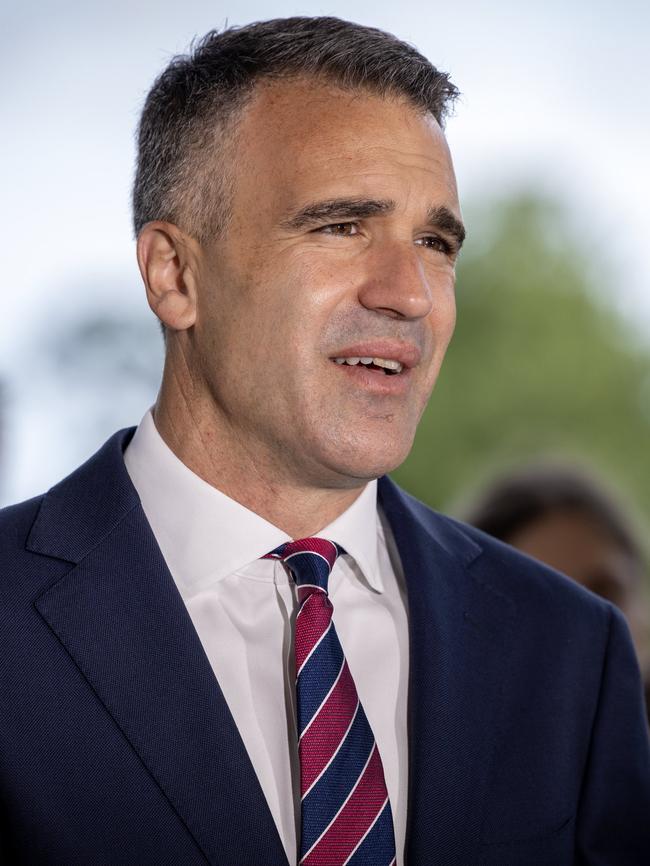 Premier Peter Malinauskas said the government would not prevent the pro-Palistinian rally but expected protestors to abide by the law. Picture: NCA NewsWIRE / Emma Brasier