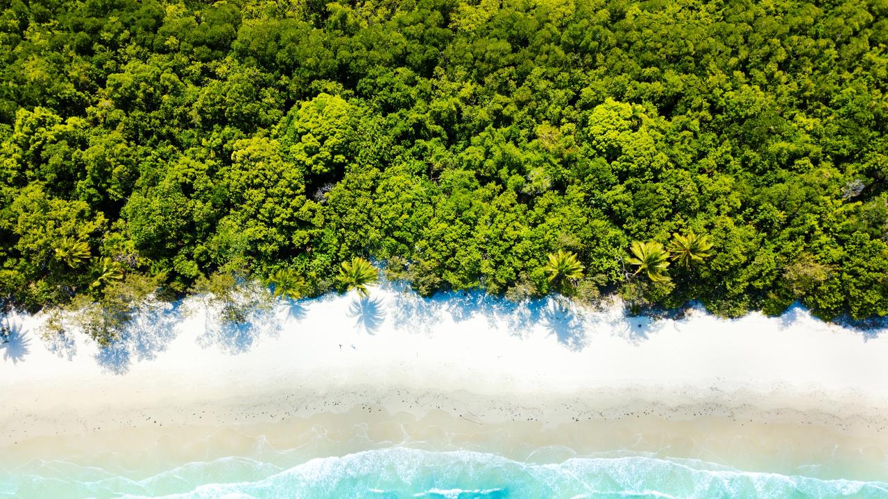 Boasting breathtaking beaches, ancient rainforest and stunning reef, Cape Tribulation is one of Australia’s great tourism getaways. (iStock)