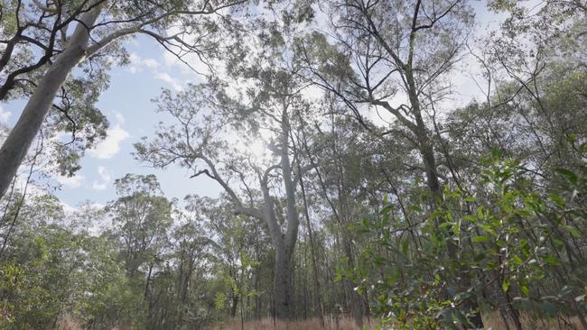 Land in Tallebudgera Valley which has been bought by the Gold Coast City Council