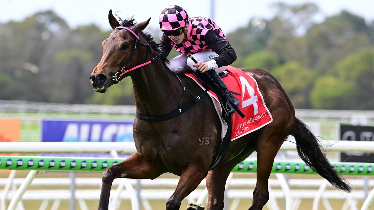 Bailey Wheeler and Cosmo Centaurus will combine again at the Sunshine Coast. Picture: Grant Peters.Trackside Photography