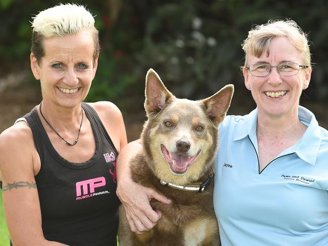 Gold Coast dog Masseuse Jayne Horner helps hundreds of dogs with sore muscles or just to simply relax. Pictured at client Ingrid Irwin's home in Nerang. Ingrid Irwin with her dog Rastus and Jayne Horner. Picture: Lawrence Pinder