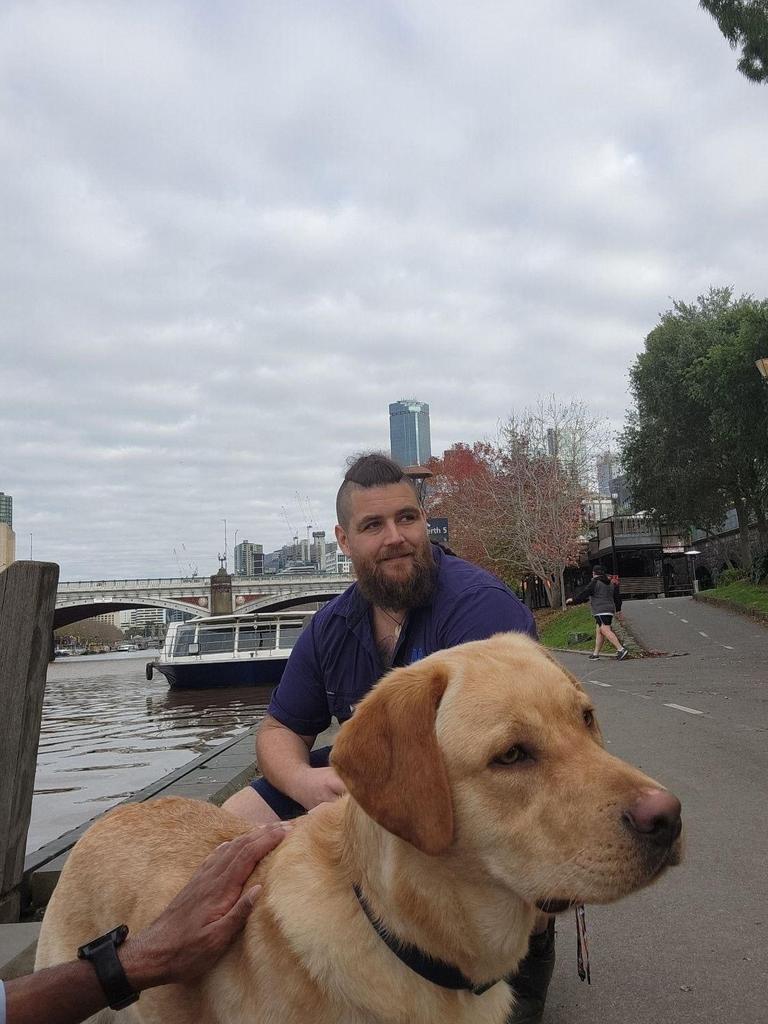 He got to soak up the cityscape before the Lost Dog's Home reunited him with his family. Picture: Supplied by Metro Trains