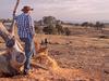 ‘It’s really bad out there’: The silent toll drought is taking on farmers