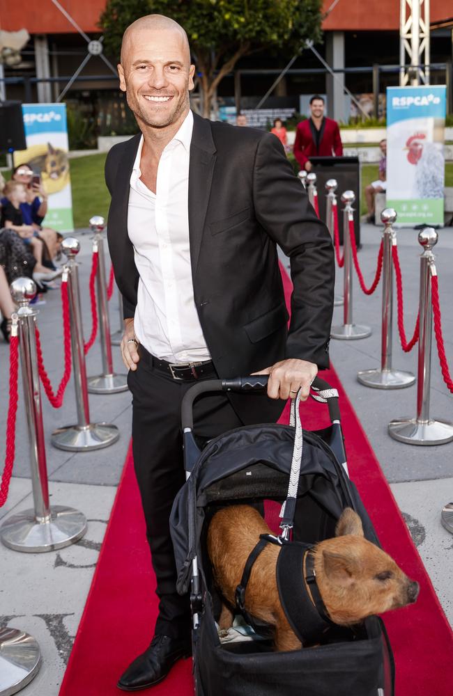 Mike Gunner with rescue pig Samson at an RSPCA function.