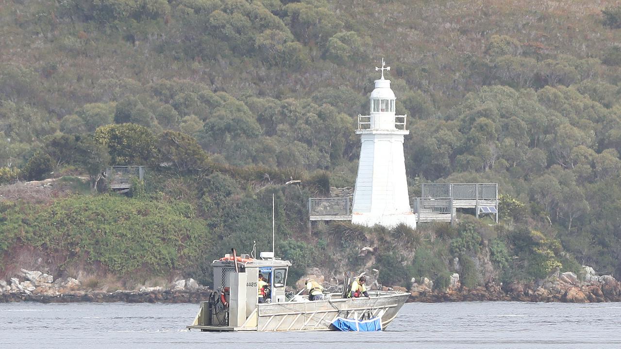 Rescued whales being taken by boat for release. Stranding of over 200 pilot whales at Macquarie Heads near Strahan Tasmania. Picture: Nikki Davis-Jones