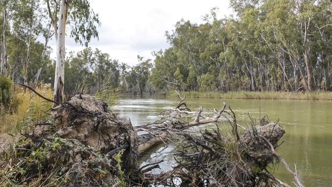 Last year’s spring floods pushed more sand down the river, while hight flows undercut trees exacerbating the erosion of the Barmah Choke’s capacity.