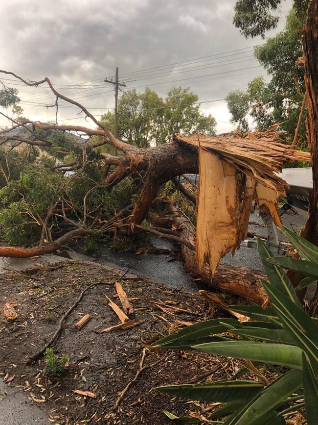 The Sutherland Shire was one of the worst hit areas in Sydney. Picture: Kristie Stubbs