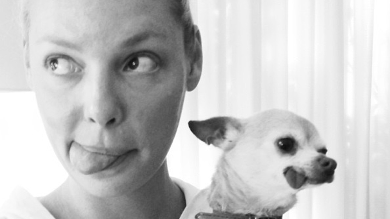 Heigl runs an animal charity in honour of her late brother who passed away in 2008. Picture: Instagram.