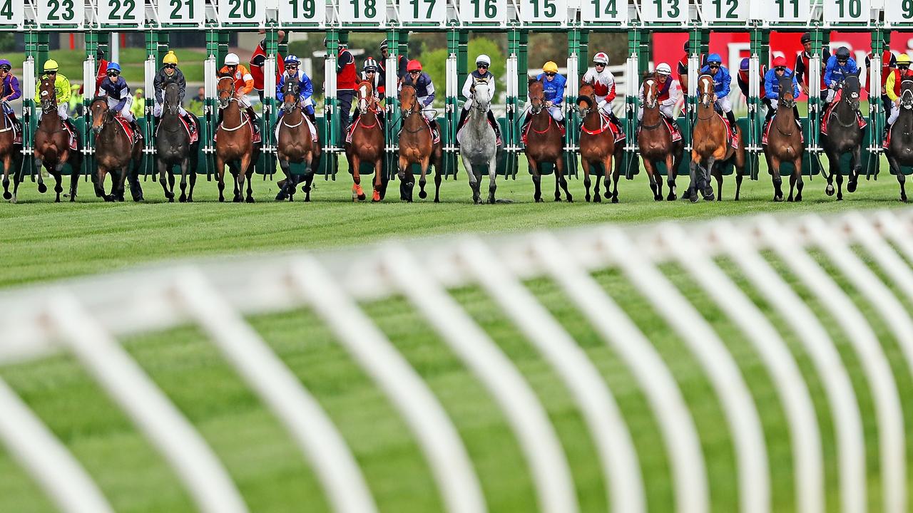 The Melbourne Cup 2022: Who is in the field?