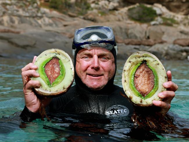 David 'Bucky' Buckland with some of his green lip abalone catch south of Thistle Island near Pt Lincoln. Photo: Dylan Coker