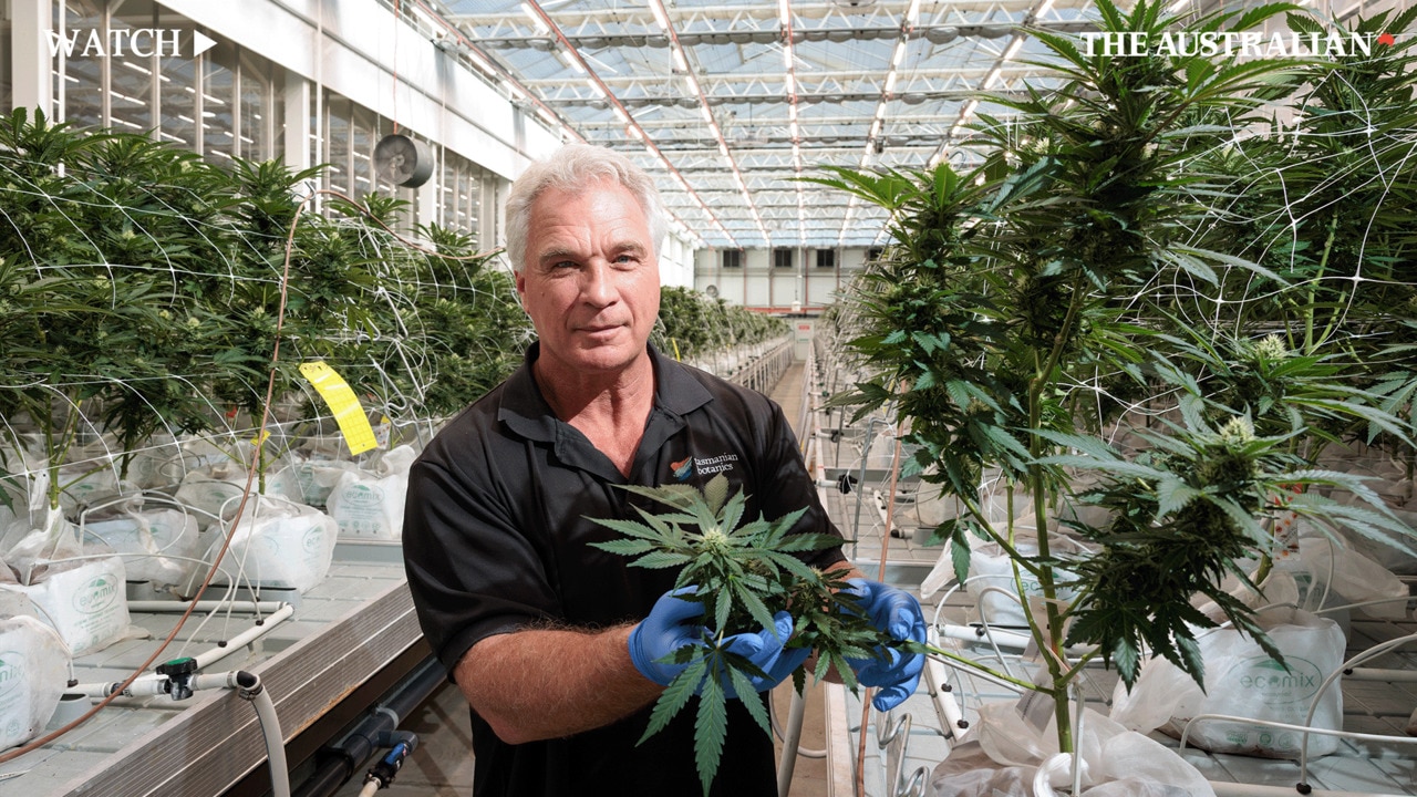 WATCH: Tasmanian Botanics is one of Australia's largest medicinal cannabis producers