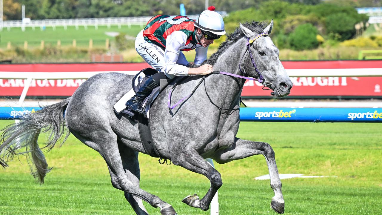 Statuario is one of the leading chances in the South Australian Derby on Saturday. Photo: Reg Ryan/Getty Images.