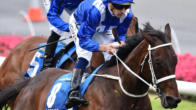 Fraudster Shaun Kelly punted $300,000 of stolen cash on horse racing.