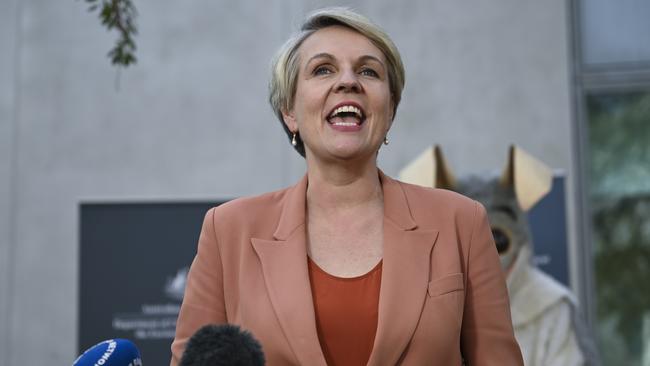 Environmental groups now fear Environment Minister Tanya Plibersek will immediately give Whitehaven Coal and MACH Energy the go-ahead to expand their NSW coal mines. Picture: NCA NewsWire / Martin Ollman