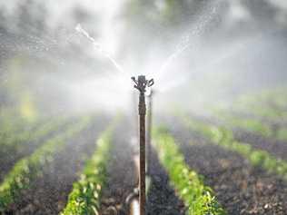 INTO THE FUTURE: Investigation boards for the Bundaberg, Burdekin-Haughton, Lower Mary and Mareeba-Dimbulah irrigation schemes will deliver revised business cases setting out how they may operate under local management. Picture: fotokostic