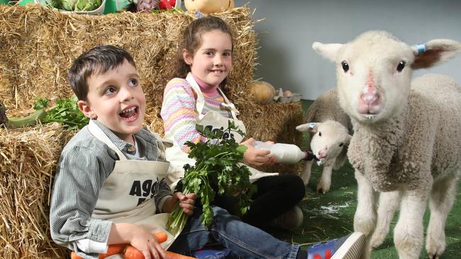 Zara,7 and Hugo, 4 meet lambs Roy and Aggie in farm area at the Royal Adelaide Show. Picture Dean Martin