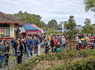 Crowds at Lismore's Friendship Festival - Piazza in The Park.