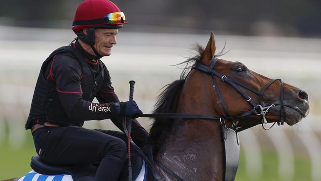 NCA. MELBOURNE, AUSTRALIA. October 14 , 2024. RACING.  Werribee track work . Aidan OBrien trained Jan Brueghel ridden by Dean Gallagher during this mornings work    .  Pic : Michael Klein