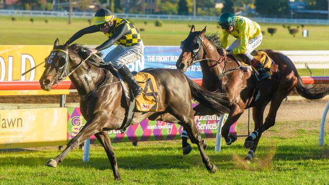 Cogliere, is ridden to the line by Matt McGuren to win the Grafton Toyota South Grafton Cup ahead of Brazen.