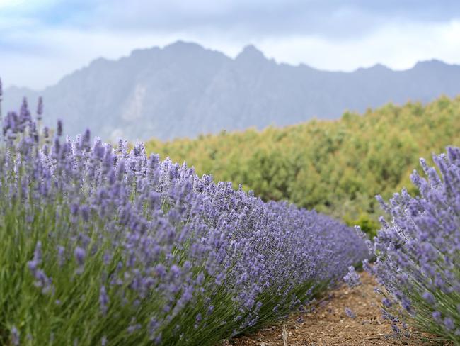 This is definitely a place you’ll want to get lost in. Picture: Chris Kidd