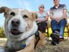 Popular pet holiday destination closes doors