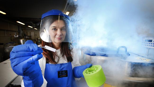 Immunologist Katherine Kedzierska at the Doherty Institute in Melbourne. Picture: David Caird