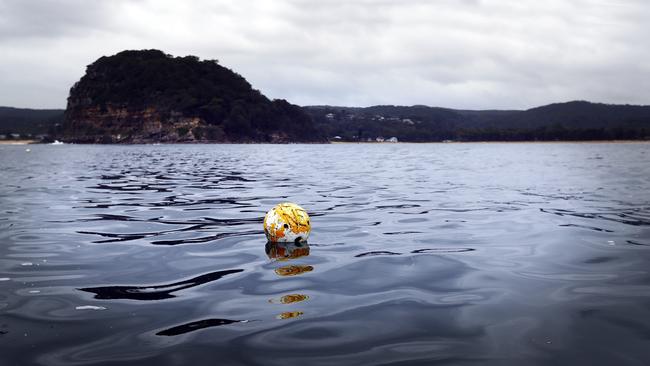 Shark nets off the Central Coast shoreline, in NSW.