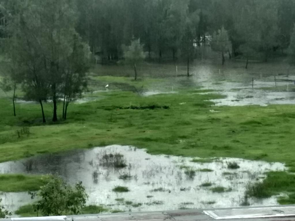 Qld weather: Storms, heavy rain, heatwave conditions amid flood ...