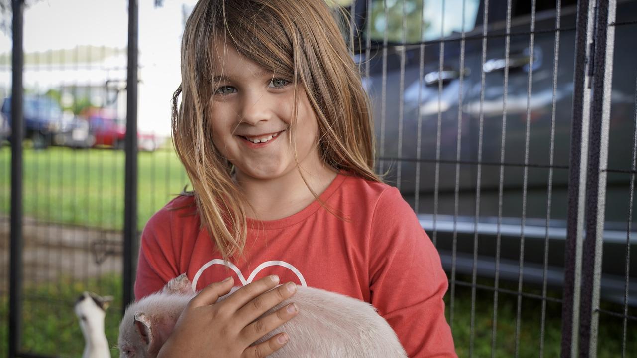 Amity Croswell, 6, of Airlie Beach, enjoying some cuddle time with week-old piglet Paxton from MAD Animal Addiction at the Calen Country Fair, Saturday, May 29, 2021. The Picture: Heidi Petith