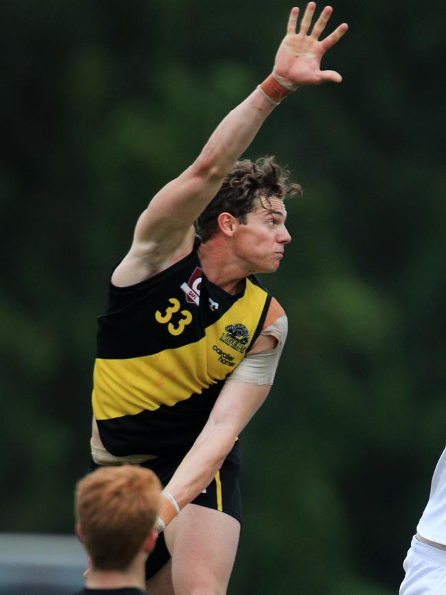 Labrador’s Cooper Anderson. Picture: Scott Powick NEWSCORP